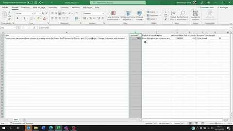 How to fix coa import error on netsuite