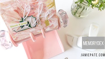 *new* Blush MemoryDex Spinner