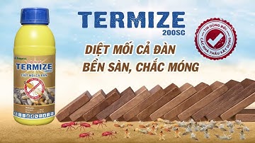 TERMIZE 200SC - DIỆT MỐI CẢ ĐÀN, BỀN SÀN CHẮC MÓNG | HỢP TRÍ SUMMIT