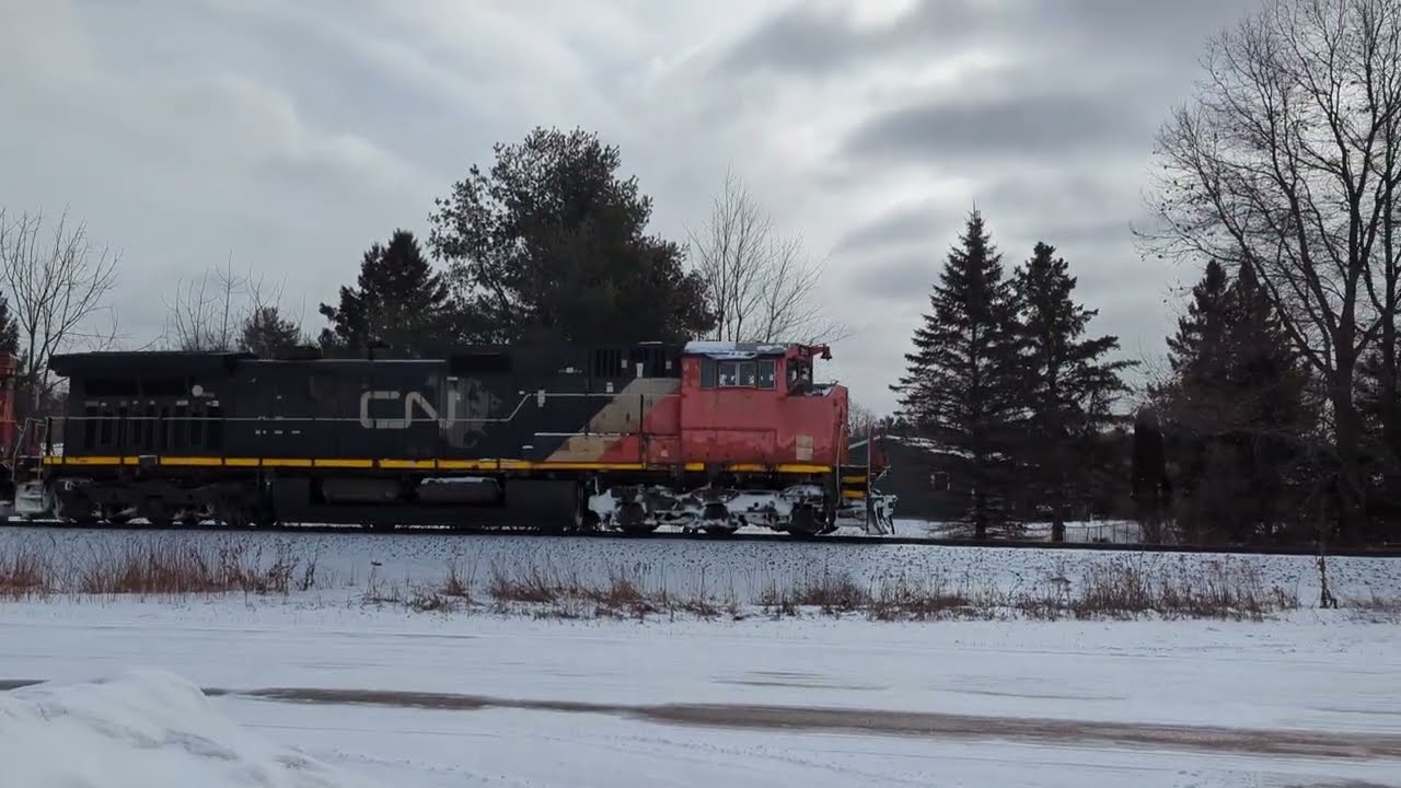 Rare CN 2513 and CN 5404 with a very Fouled horn