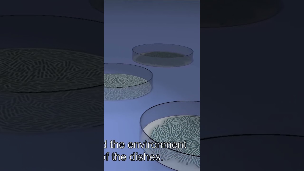 Unlocking the Secrets of Cell Differentiation  What Determines Cell Fate