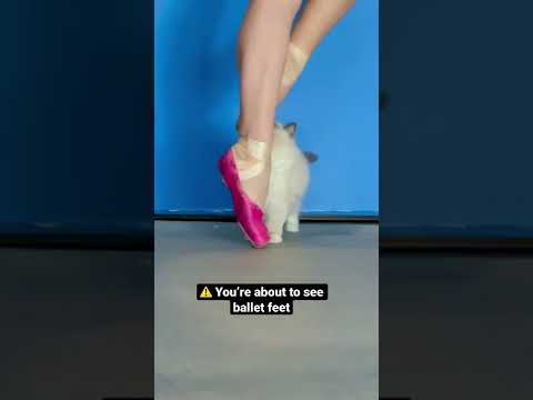 Ballerina toes on pointe 🩰 #ballet #pointeshoes #ballerina #dancelife #danceclass #howitworks