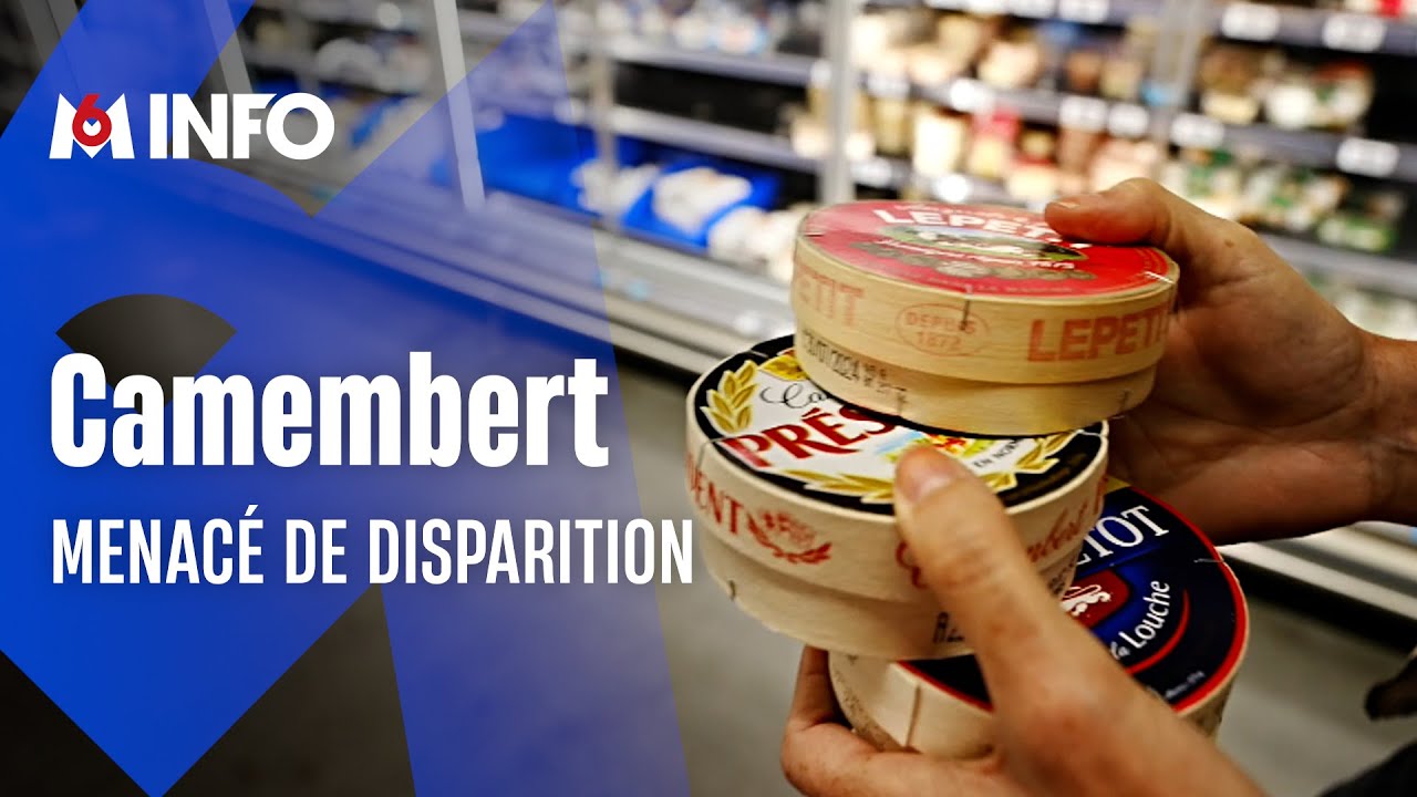 Aux sources du camembert en Normandie