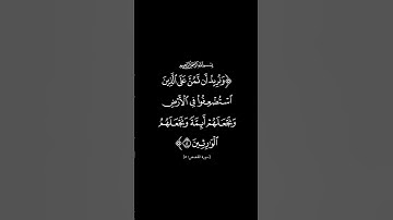الآية 5 من سورة القصص | القارئ خليفة الطنيجي @rachidlameteo