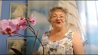 Как мне живется ! Киев . Украина. Сегодня. Честно как оно есть