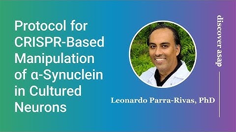 Protocol for CRISPR-Based Manipulation of α-Synuclein in Cultured Neurons