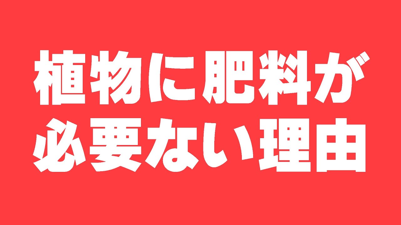 【図解】菌根菌の世界【植物に不可欠なパートナー】（VA菌根菌・マイコス・AM菌・菌ちゃん農法・有機農法・自然農）