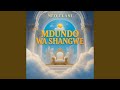 Mdundo Wa Shangwe