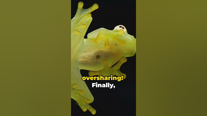 A Ribbit-ing Tale Frog Facts & Fun #shorts