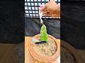 EXPERIMENT WITH DRAGON FRUIT TREE CHALLENGE!? #challenge #experiment #shorts