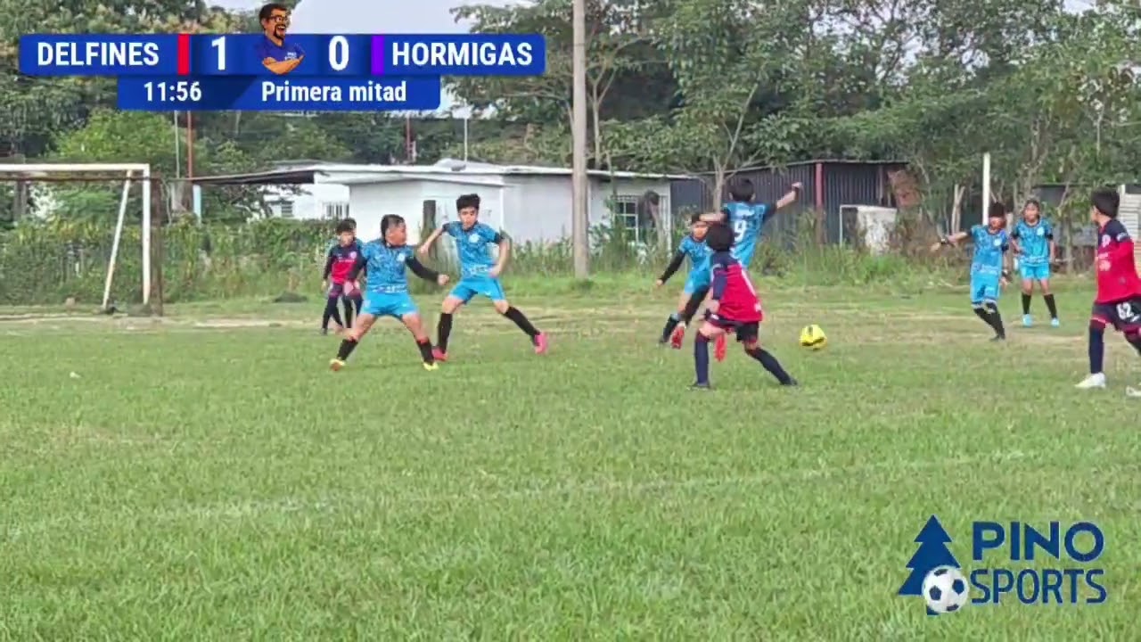 SEMIFINAL COPA DIAMANTE | ACADEMIA DELFINES VS PITUFOS DE CATEMACO| 22FEB2026|