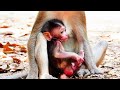 You Need to See This—It’s Beyond Incredible....!