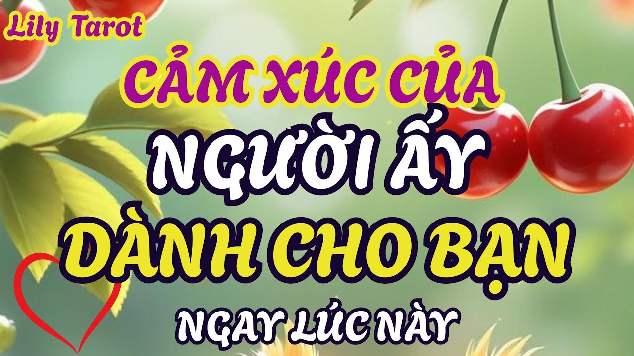 Cảm xúc của người ấy dành cho bạn ở thời điểm này @tarot