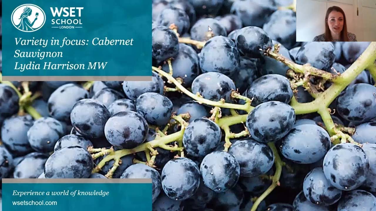 Variety in Focus: Cabernet Sauvignon with Lydia Harrison MW
