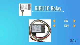 Optimize Control Systems with Functional Devices RIBU1C Relay | ZOT Supply