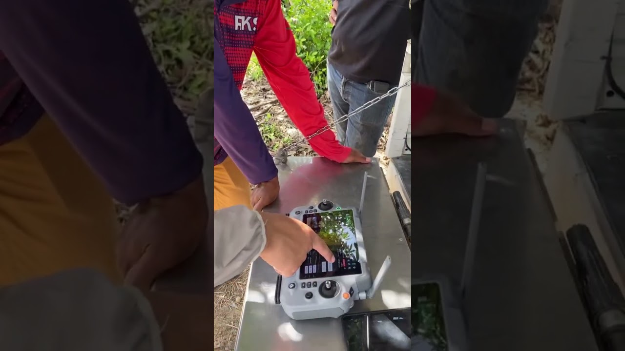 ฉีดเสร็จ หว่านต่อเล๊ยยยยย ปุ๋ยอ้อยกับ T70P