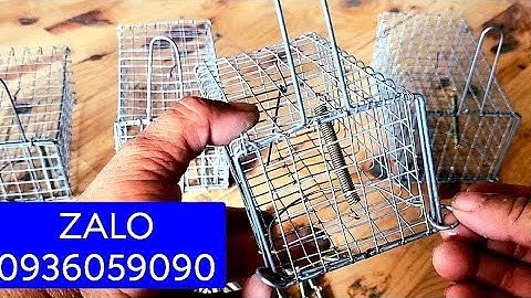 Cung cấp lồng bẫy chuột đường mòn. Lồng bẫy chuột đàn. Cung cấp lồng bẫy chuột đồng. Cung cấp lò xo.