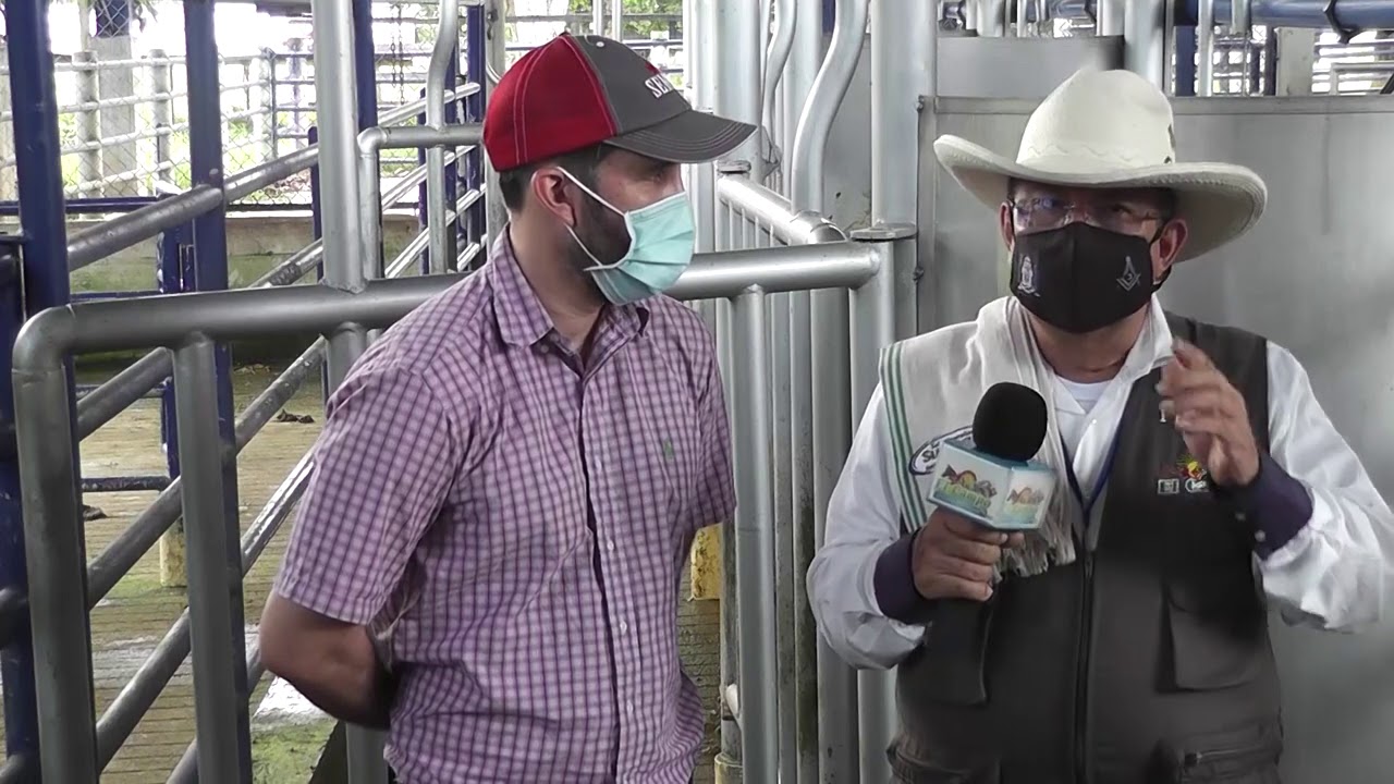 Base genética, en la ganadería