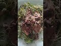 Последний еда и больше нет у меня. #выживание #еда #кетопитание