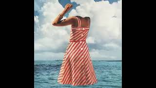 Future Islands - Back in the Tall Grass - 2014