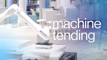 Machine tending and object sorting