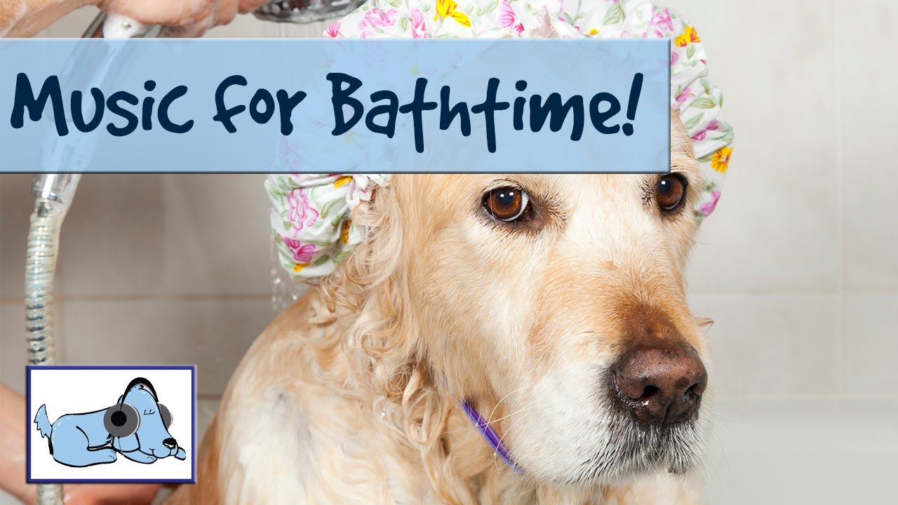 youtube music to calm dogs