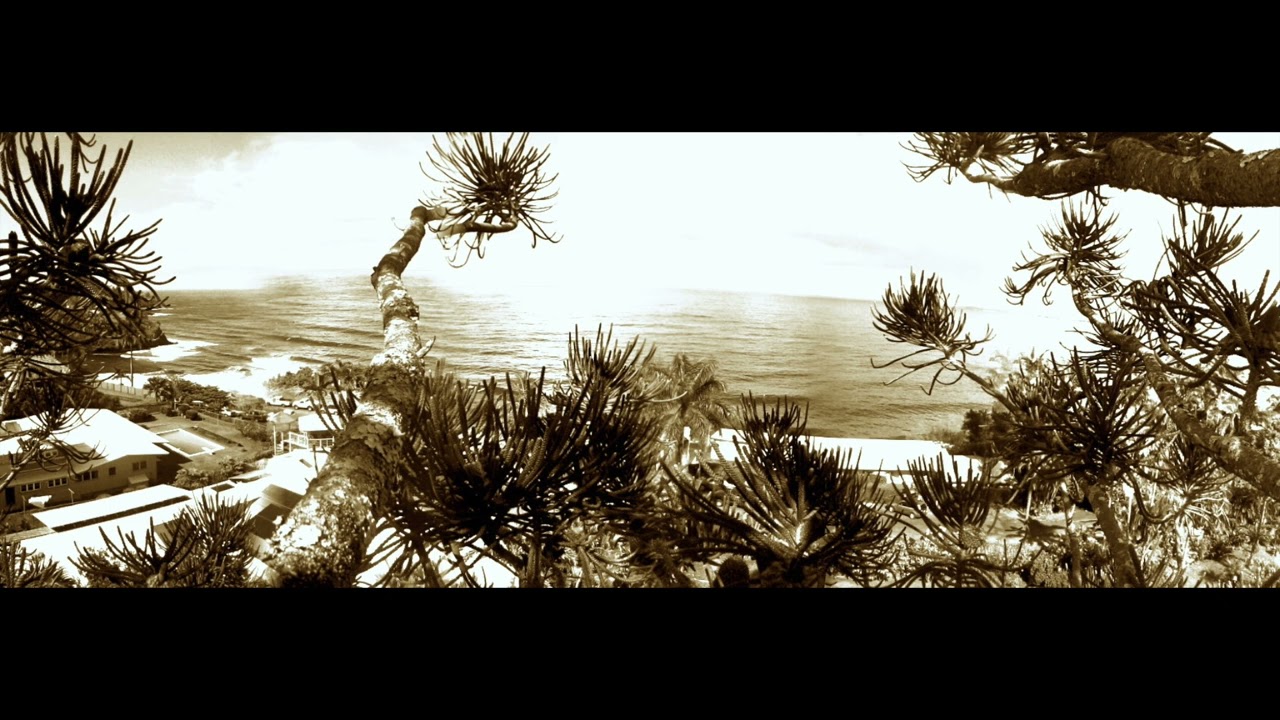 Makakai - II. Norfolk