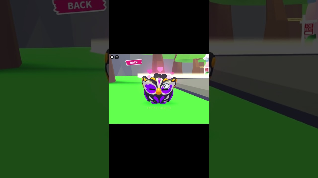 Meet Nuchipenp’s Cutest Pet EVER!