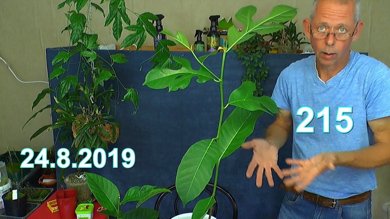 Jetzt aber lass deinen Daumen grün werden mit Detlef Römisch im