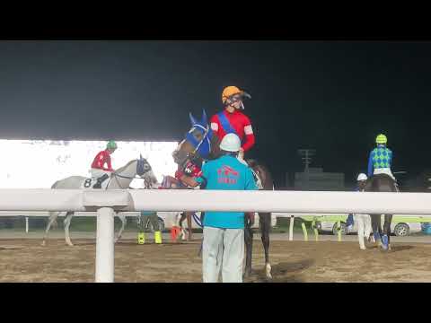 【大井競馬】観客が気になって仕方ないプリサイニードル(ノーカット版) 10/6 12R 錦秋特別競走【最終レース】