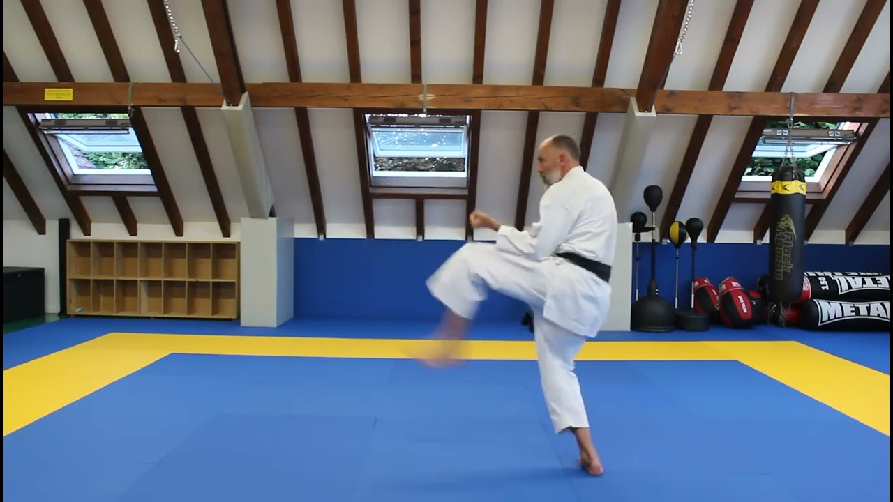 TAI-JITSU NO NIJUSHIHO