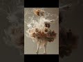 Ballerina
