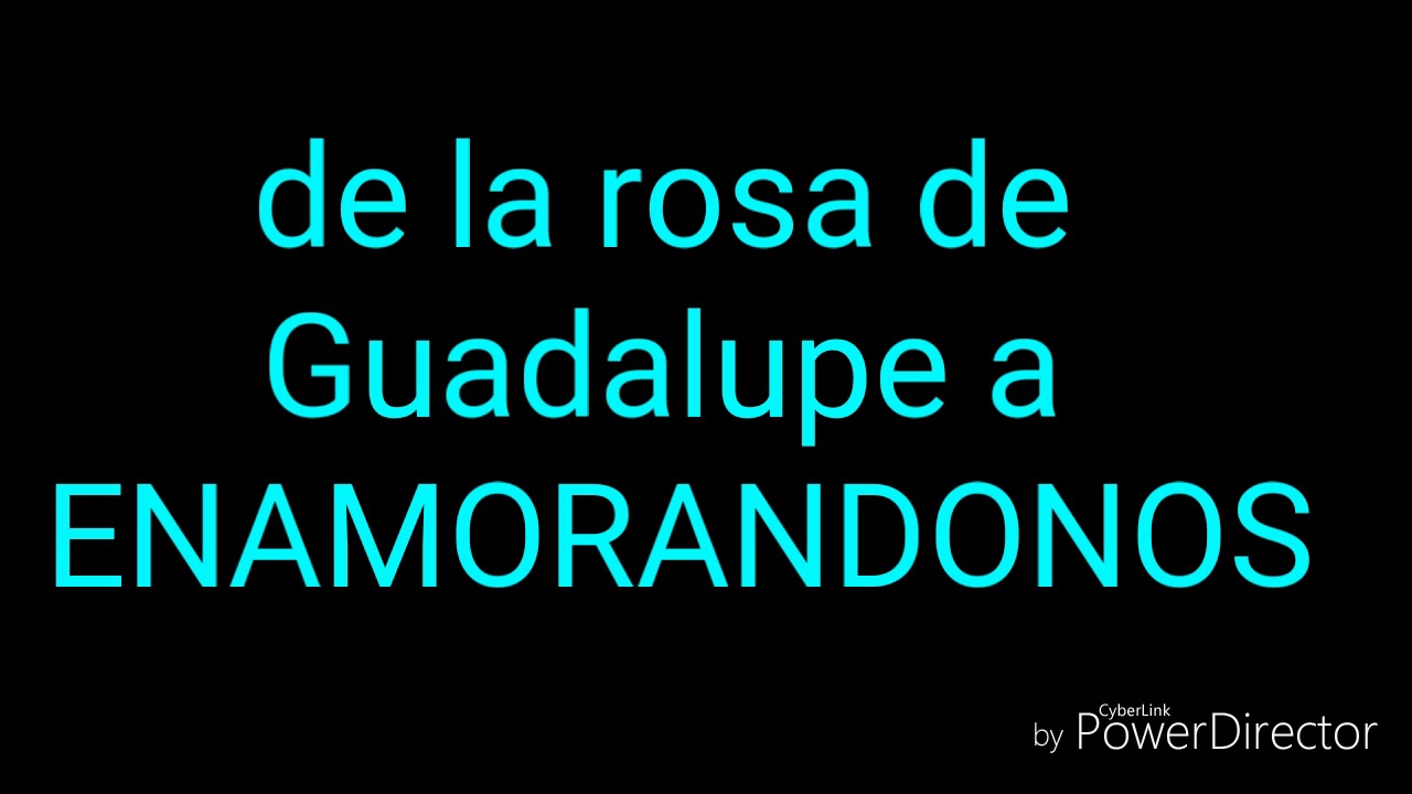 De la rosa de Guadalupe a Enamorandonos YouTube
