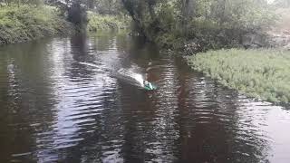 Rc Boat Hornet f1 test