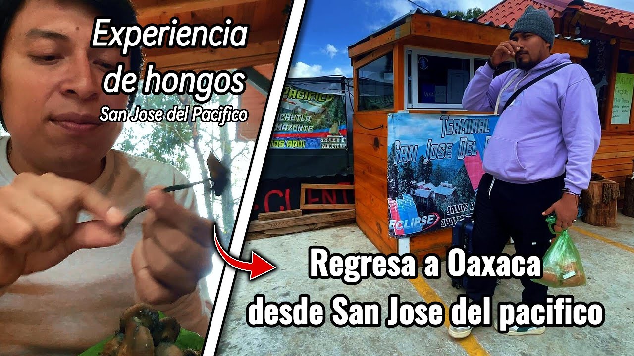 Oaxaca de Juárez, transporte de san jose del pacifico a oaxaca. San Jose del pacifico oaxaca.