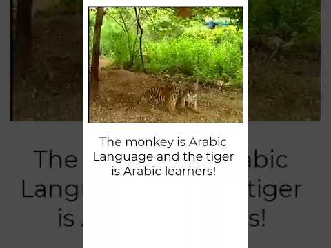 Arabic language
