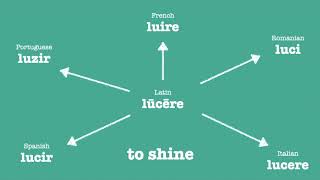 Romance Languages Comparison: Verbs 8