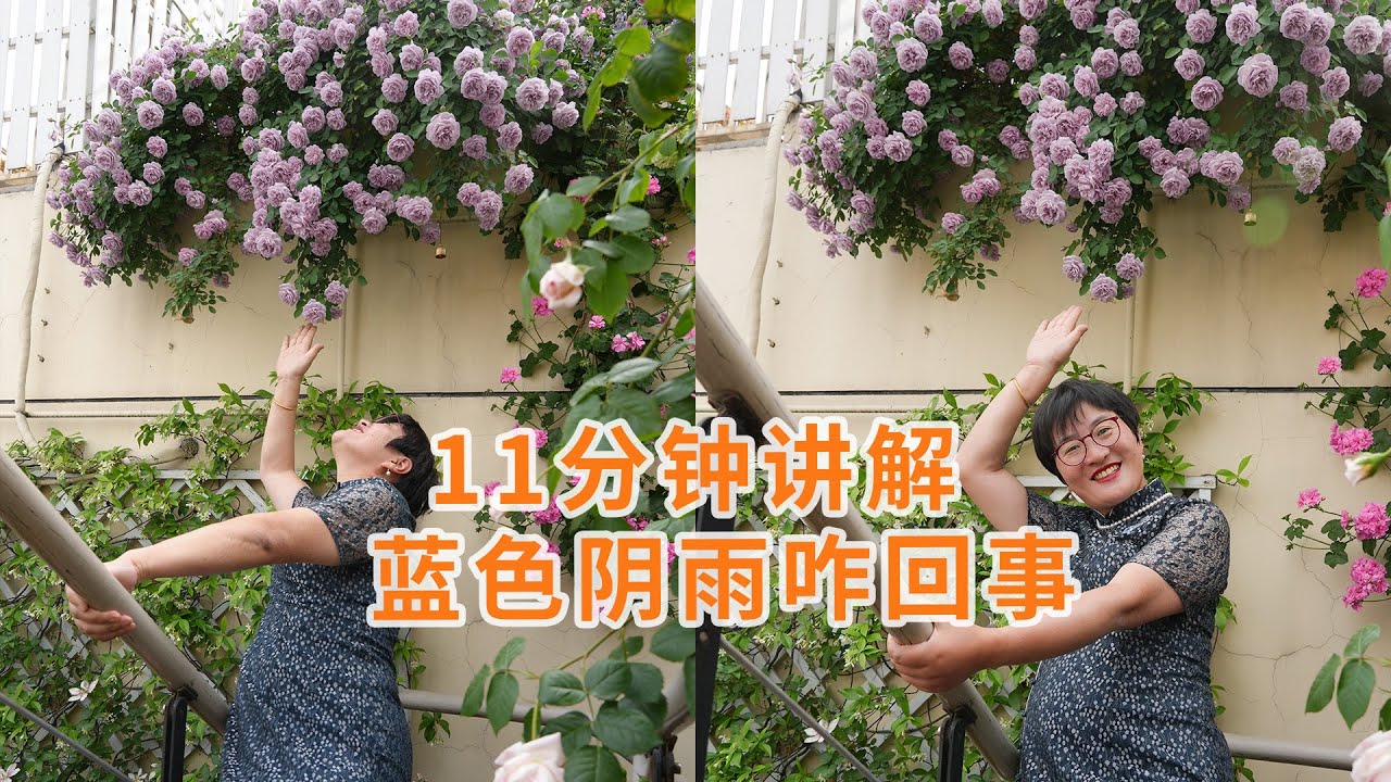 11分鐘講解，藍色陰雨咋回事