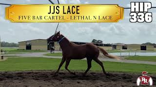 Hip 336 - LQHBA '20 Yearling - Robicheaux Ranch