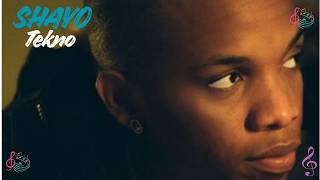 Tekno - Shayo (Lyrics Video)