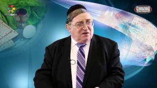 Thumbnail of the video “Hidabroot - Torah & Judaism - Pesach Perspectives - Part 2: Every Child Counts - Rabbi Paysach Krohn”