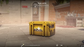 DAY 322 OPENING CS2 CASES UNTIL I GET GOLD!