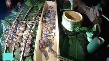 Dã ngoại suối Tây Bắc | Câu đêm ,câu cá nheo