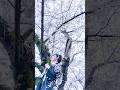 着物でお花見 #多岐川舞子 #東京浪漫#演歌#着物#桜#日本の春#japan