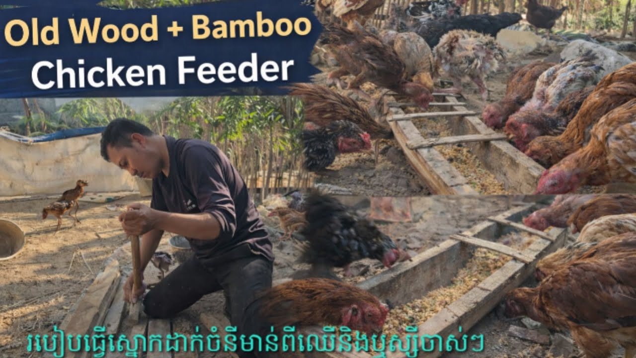 Village Farm Life | Making a Chicken Feeder from Old Wood & Bamboo