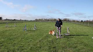 A-Z Agility: Jump commitment with multiple obstacles