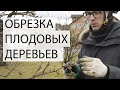 Обрезка плодовых деревьев весной. Весенняя обрезка яблони. Обрезка сада. www.Tree-Work.ru