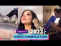 FUNNY ANIMALS - 5 - Try not to laugh - 2023 VIDEO COMPILATION #shorts