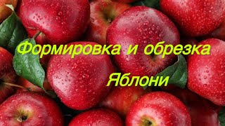 картинка: Обрезка яблони