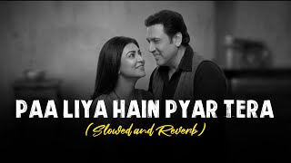 Paa Liya Hai Pyar Tera  Slowed And Reverb  Govinda And Shasmita Sen   Udit Narayan  Alka Yagnik
